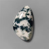 Agate|Tree Agate