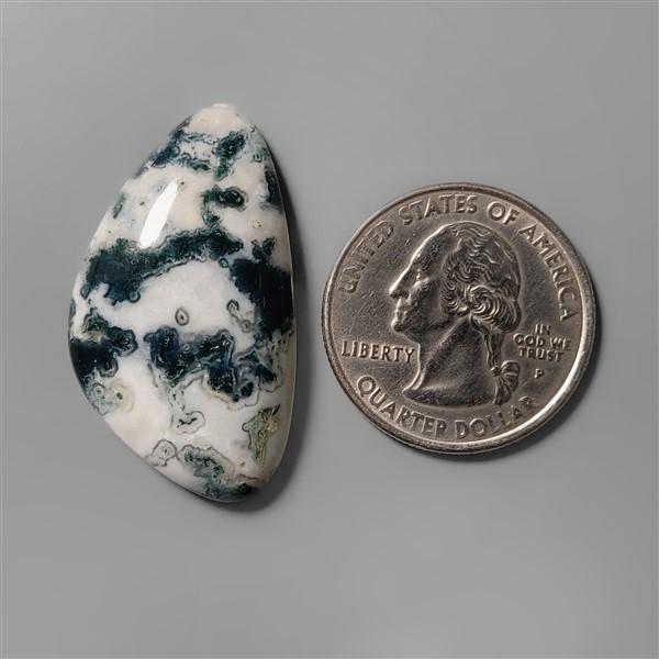 Agate|Tree Agate