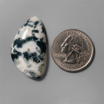 Agate|Tree Agate