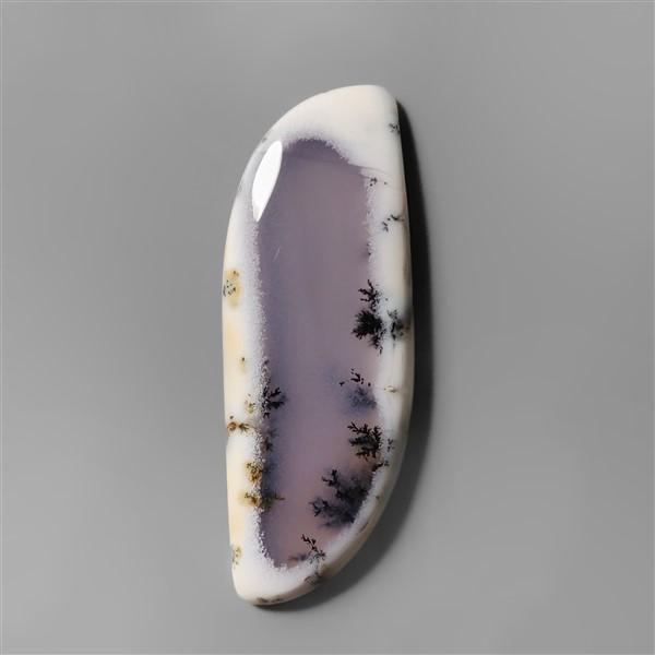Agate|Dendritic Agate