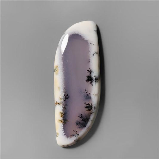 Agate|Dendritic Agate