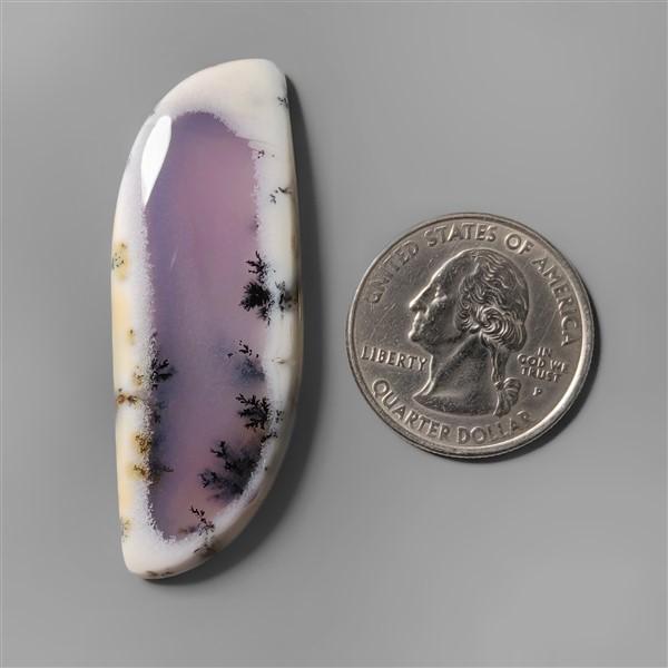 Agate|Dendritic Agate