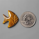 Tiger Eye