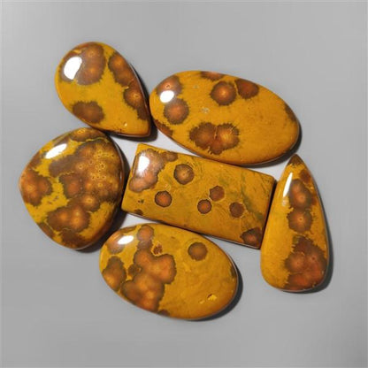 Ocean Jasper