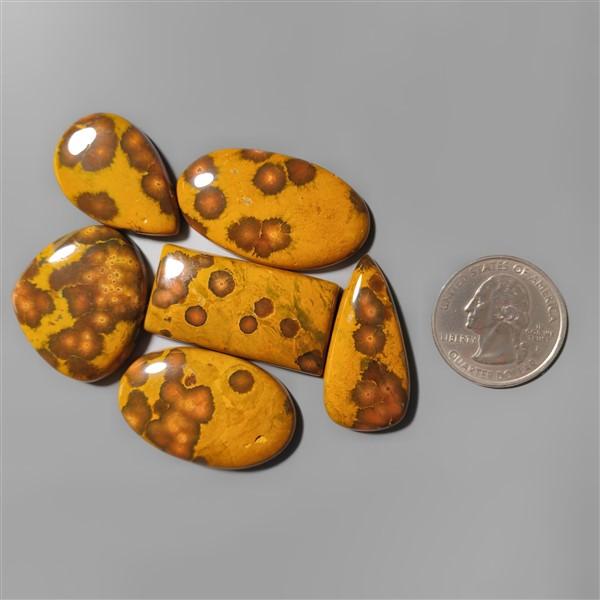 Ocean Jasper