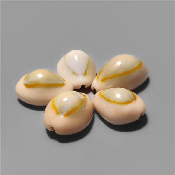 Shell