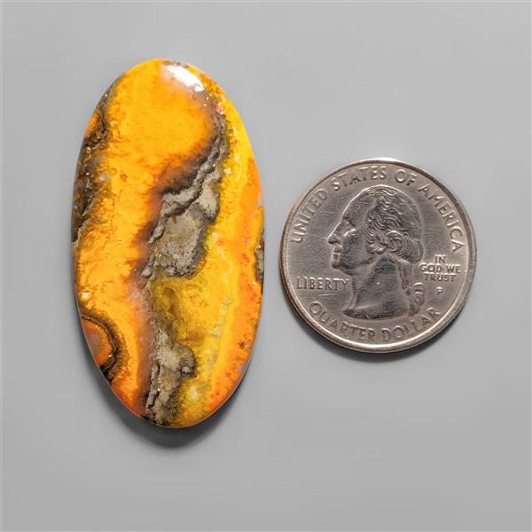 Bumble Bee Jasper