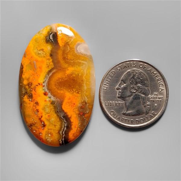 Bumble Bee Jasper