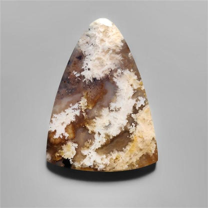 Agate|Plume Agate
