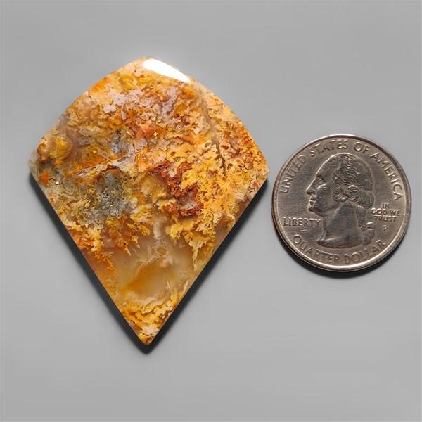 Agate|Plume Agate