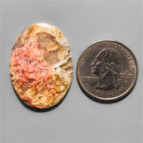 Agate|Plume Agate