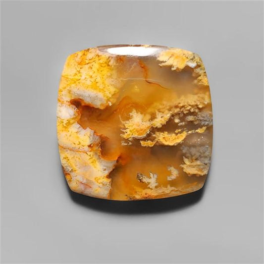 Agate|Plume Agate