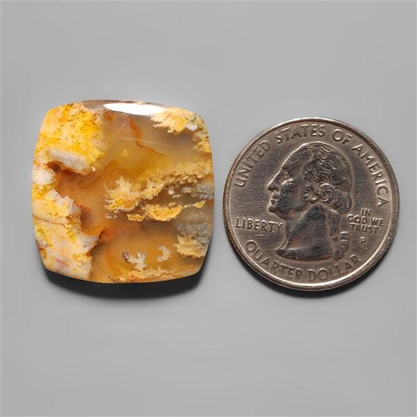 Agate|Plume Agate