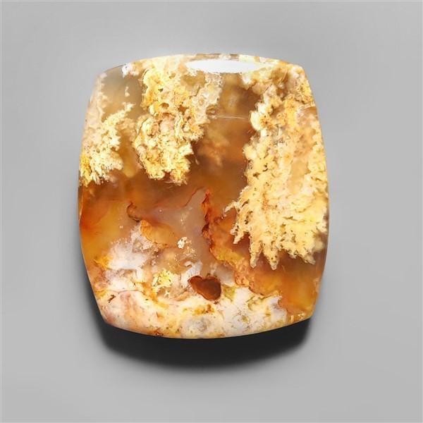 Agate|Plume Agate