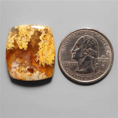 Agate|Plume Agate