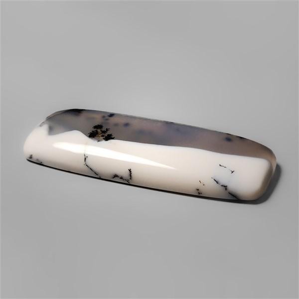 Agate|Dendritic Agate