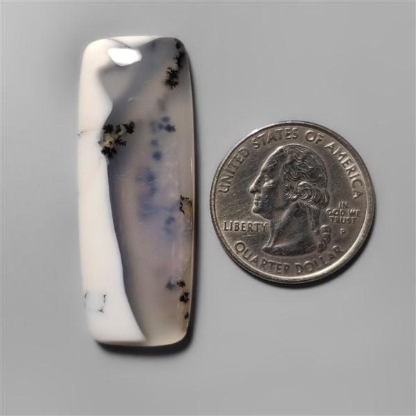 Agate|Dendritic Agate