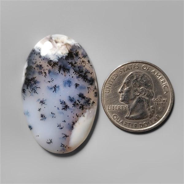 Agate|Dendritic Agate
