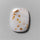 Agate|Polka Dot Agate