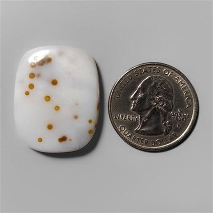 Agate|Polka Dot Agate