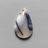 Agate|Dendritic Agate
