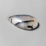 Agate|Dendritic Agate