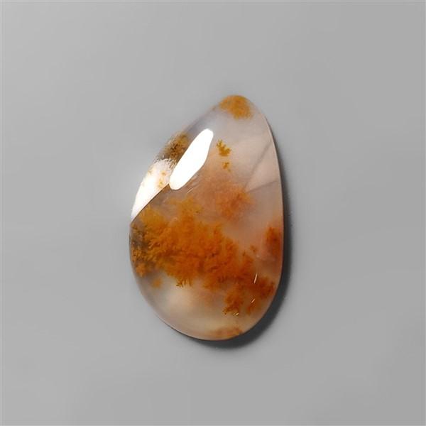 Agate|Dendritic Agate