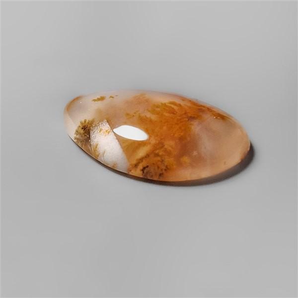 Agate|Dendritic Agate