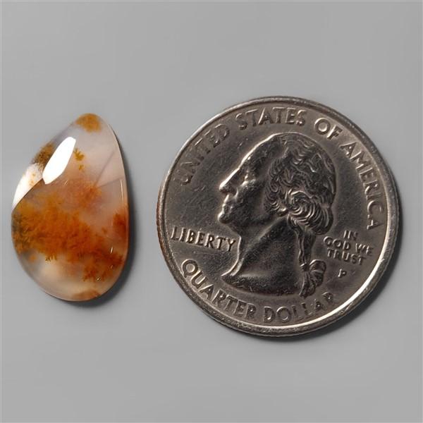 Agate|Dendritic Agate