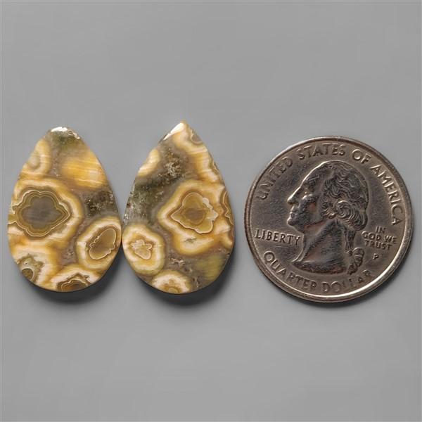 Ocean Jasper