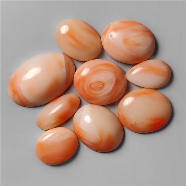 Coral