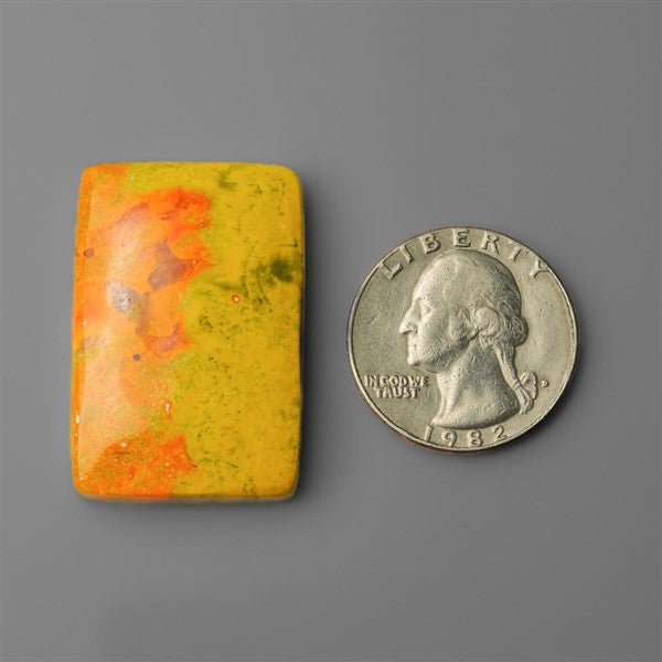 Bumble Bee Jasper