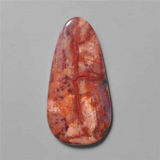 Petrified Wood|Wood