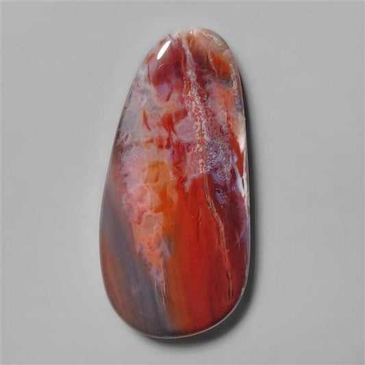 Petrified Wood|Wood