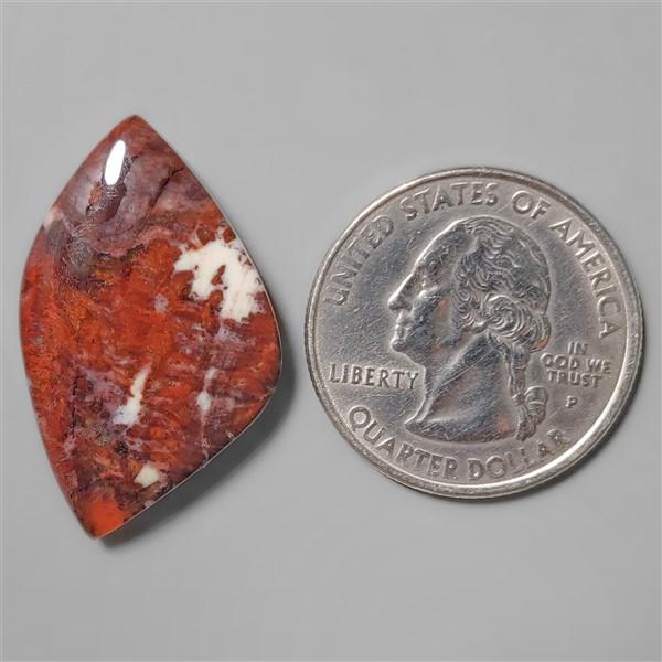 Petrified Wood|Wood