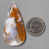 Agate|Dendritic Agate