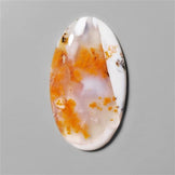 Agate|Dendritic Agate