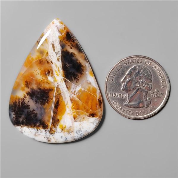 Agate|Dendritic Agate