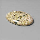 Ocean Jasper