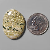 Ocean Jasper