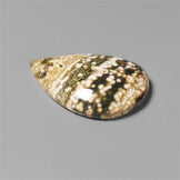 Ocean Jasper