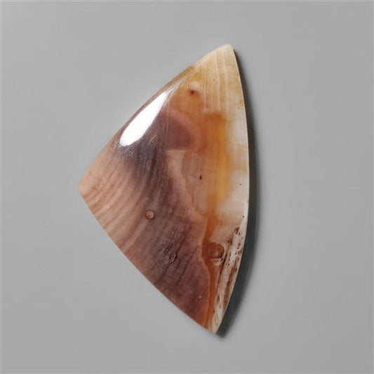 Petrified Wood|Wood