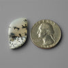 Agate|Dendritic Agate