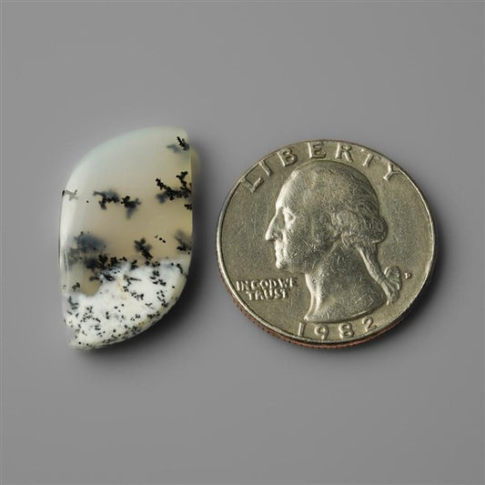 Agate|Dendritic Agate