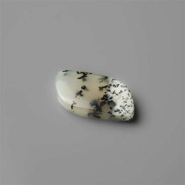 Agate|Dendritic Agate