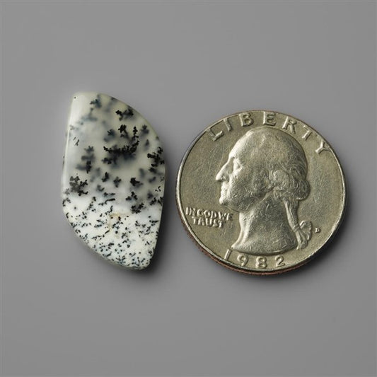 Agate|Dendritic Agate