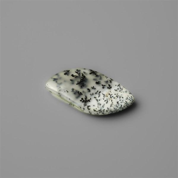Agate|Dendritic Agate