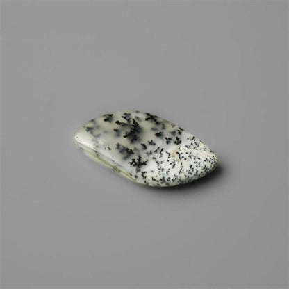 Agate|Dendritic Agate