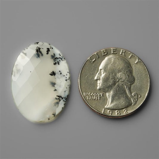 Agate|Dendritic Agate