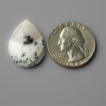 Agate|Dendritic Agate